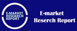 E Market Research Report